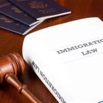 The Basics of Immigration Law for Newcomers: What You Need to Know in 2025