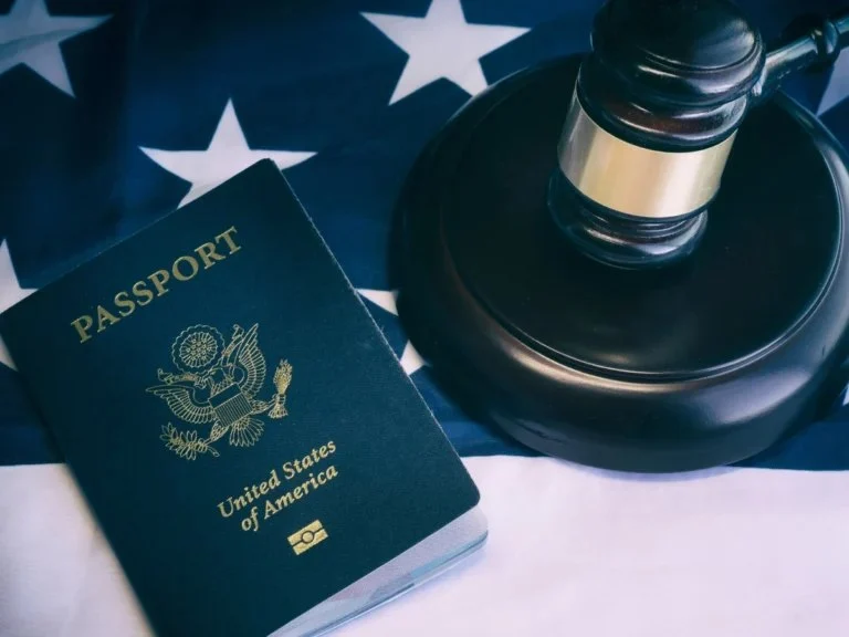 The Basics of Immigration Law for Newcomers – Expert Legal Advice