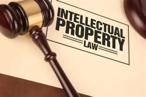 Understanding the Basics of Intellectual Property Rights