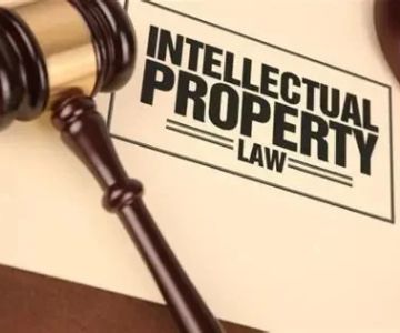 Understanding the Basics of Intellectual Property Rights
