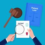 The Basics of Intellectual Property Rights: What You Need to Know