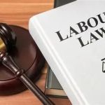 Understanding Employment Law for Workers – Your Guide to Workers’ Rights