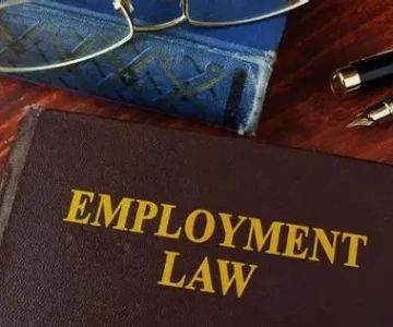 Complete Guide to Employment Law for Workers – Expert Legal Advice