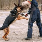 Cary Wintroub Tus Abogados Accidentes