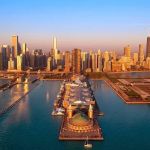 David M. Siegel & Associates