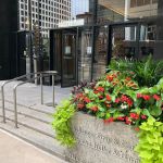 Windy City Legal, LLC