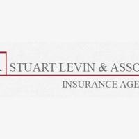 Stuart Levin & Associates ico