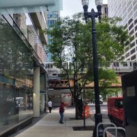 D'Arco Tax Resolution-Chicago, IL ico