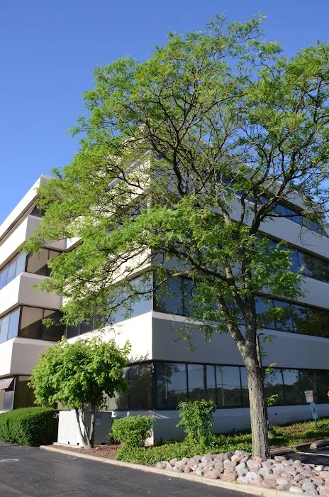 The Law Offices Of Galanopoulos And Galgan Picture 9