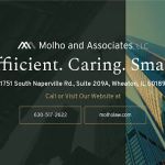 Molho and Associates, LLC