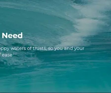 The Professional Trustee