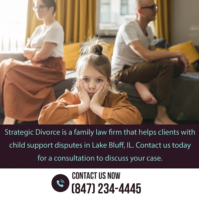 Strategic Divorce Picture 8