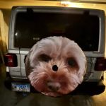 Newland & Newland, LLP