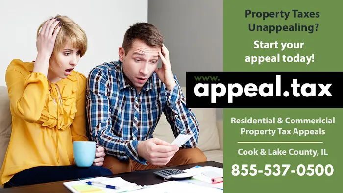 Appeal.Tax Picture 1
