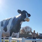 DPS Network of Legal Services