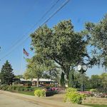 Daniel B Venturi Ltd