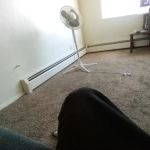 Frank J Parise Law Offices