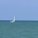 O’Connor Law Offices