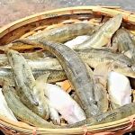 Rebecca Mason Law, LLC