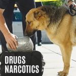 Grieve Law Criminal Defense – Milwaukee, WI