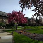 Block Legal Services, LLC