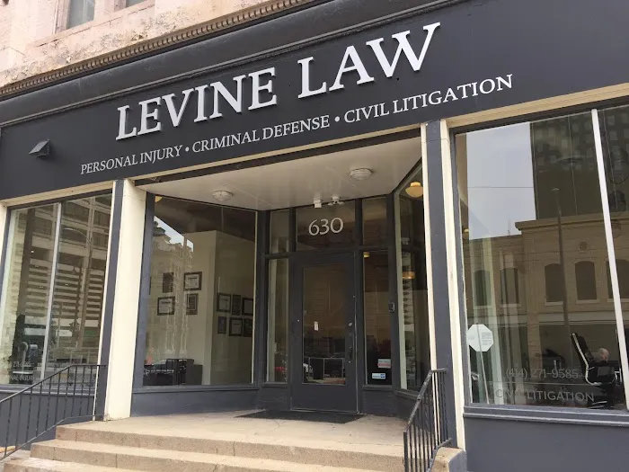 Michael G. Levine Picture 2