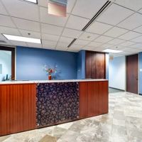 The Law Offices of Sydne French ico