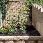 Connolly Law Offices, LLC