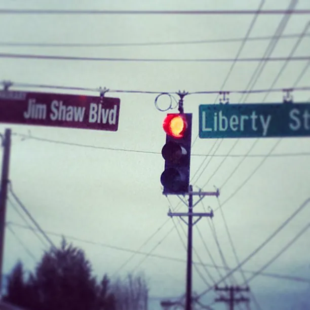 Jim Shaw and Associates Picture 1