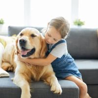 Atticus Family Law, S. C. ico