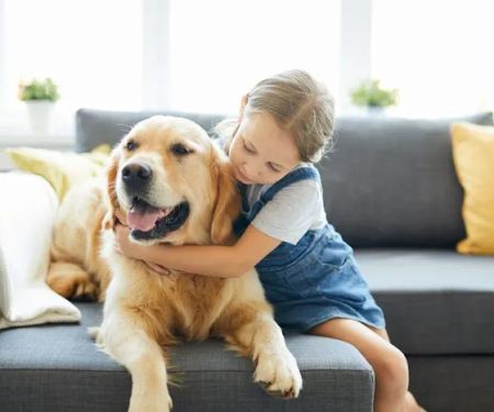 Atticus Family Law, S. C.