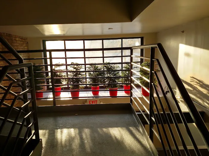 Robert Wilson & Associates Picture 6