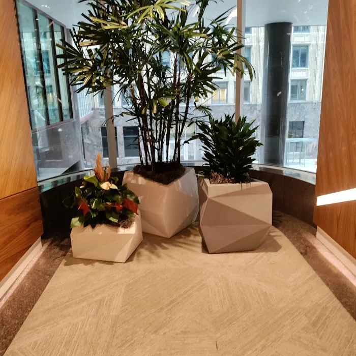 Cascarano Law Office Picture 1