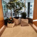 Cascarano Law Office