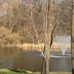 Lynn Klicker Uthe Ltd