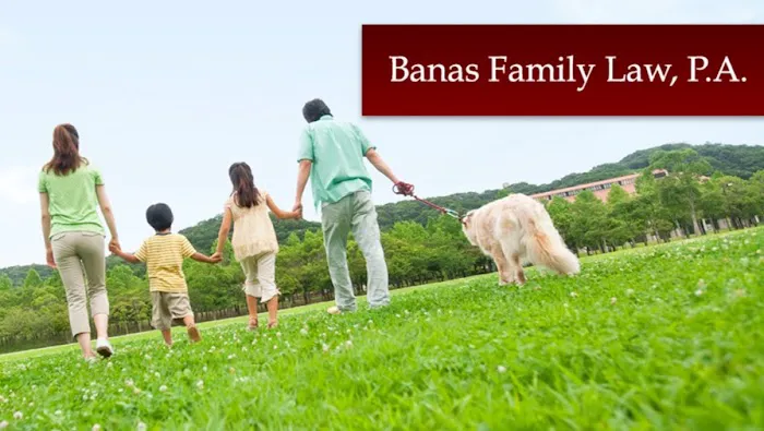 Banas Family Law Picture 1