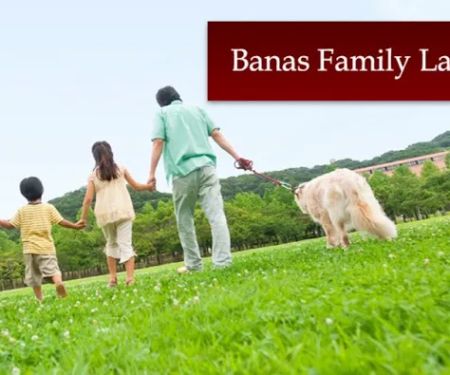 Banas Family Law