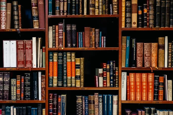 Ojo Law Office Picture 5