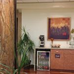 Collaborative Alliance Inc