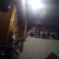 Marshall III William N ico
