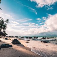 Legal Lifestyles for Dentists ico