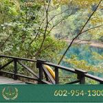 Rosacci Law Firm PC