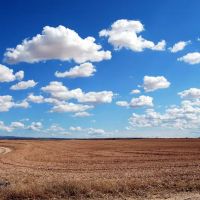 Craig Cherney, Esq. Expert Witness Real Estate ico