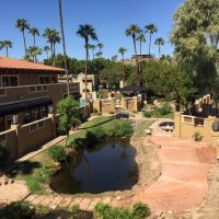 Fragomen in Phoenix ico