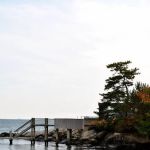 Carmody Torrance Sandak & Hennessey LLP Formerly, Waller Smith & Palmer PC