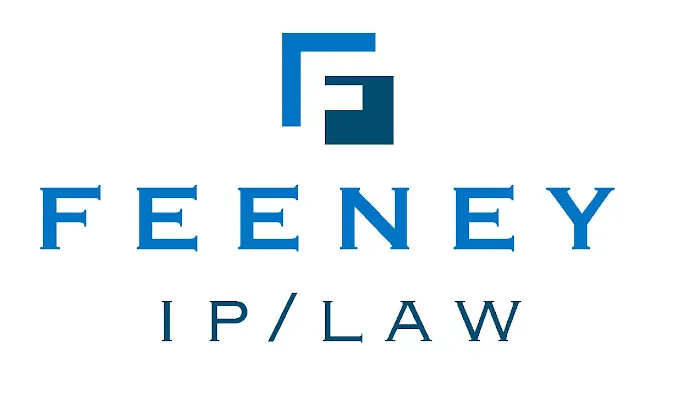 Feeney Patent Law Group Picture 7