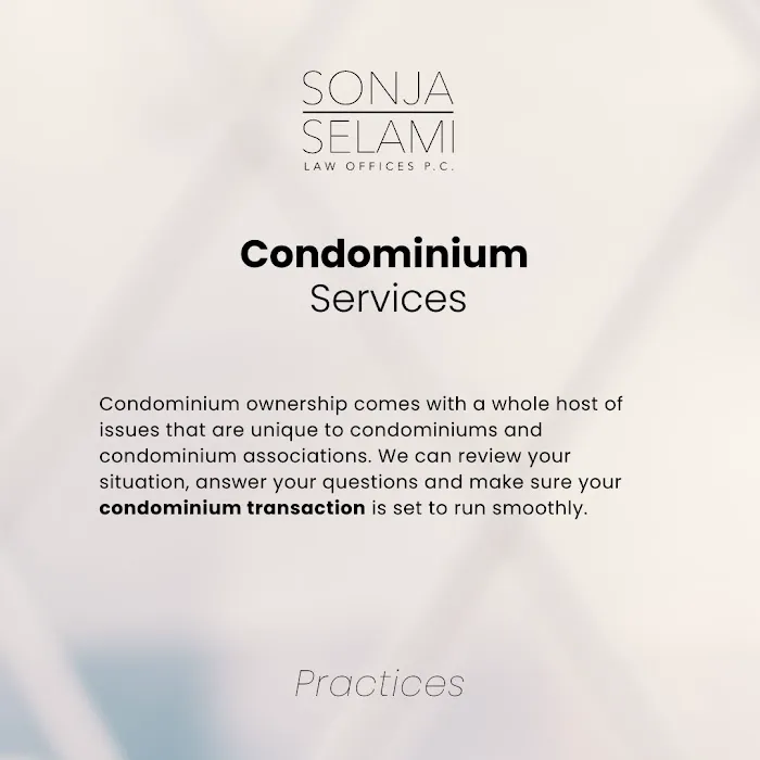 Law Offices of Sonja B Selami PC Picture 10