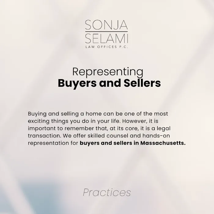 Law Offices of Sonja B Selami PC Picture 5