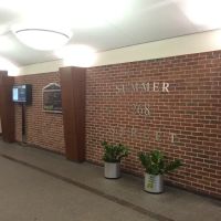Alexander Law Firm ico