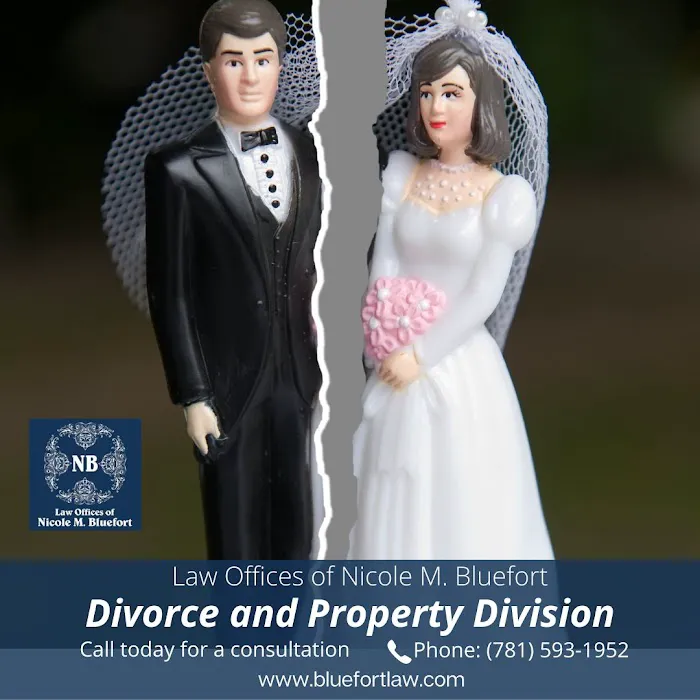 Law Offices Of Nicole M. Bluefort Picture 7